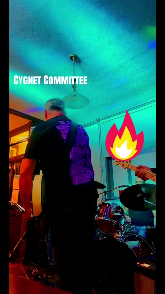 Post 3 by Cygnet Committee on TikTok (video)