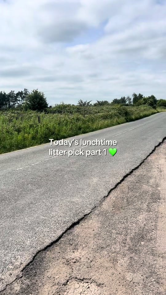 Post 3 by Rebecca-ECLP-🚮💚 on TikTok (video)