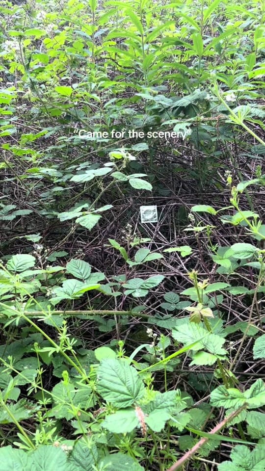 Post 5 by Rebecca-ECLP-🚮💚 on TikTok (video)