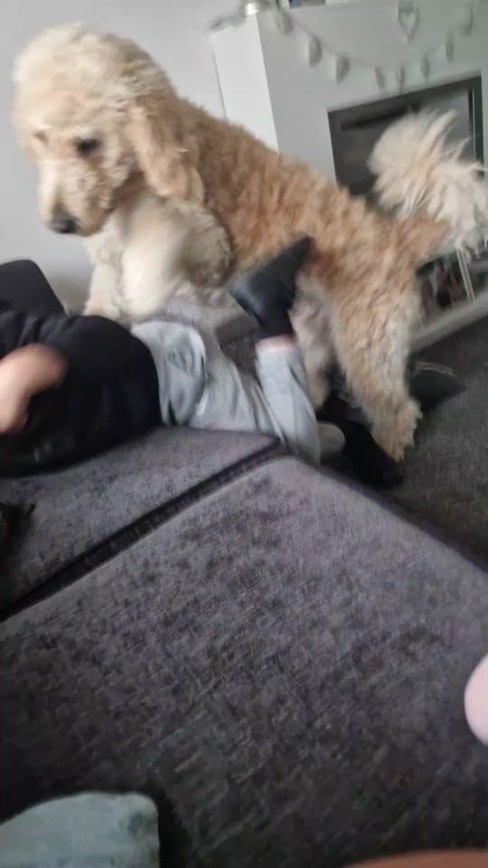 Post 9 by Kayleigh 🌸 on TikTok (video)