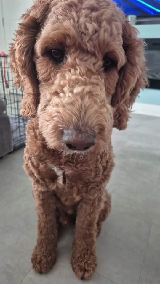 Post 6 by Kayleigh 🌸 on TikTok (video)