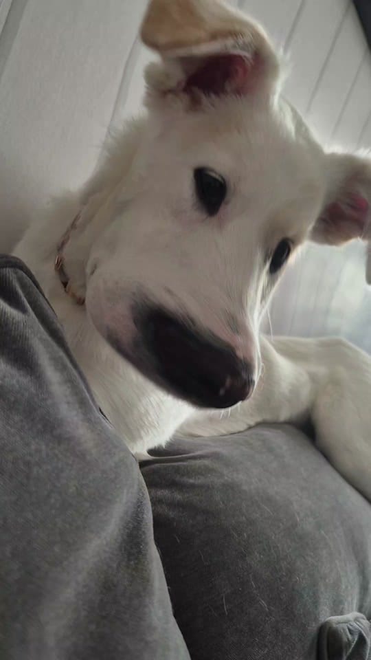 Post 7 by Kayleigh 🌸 on TikTok (video)