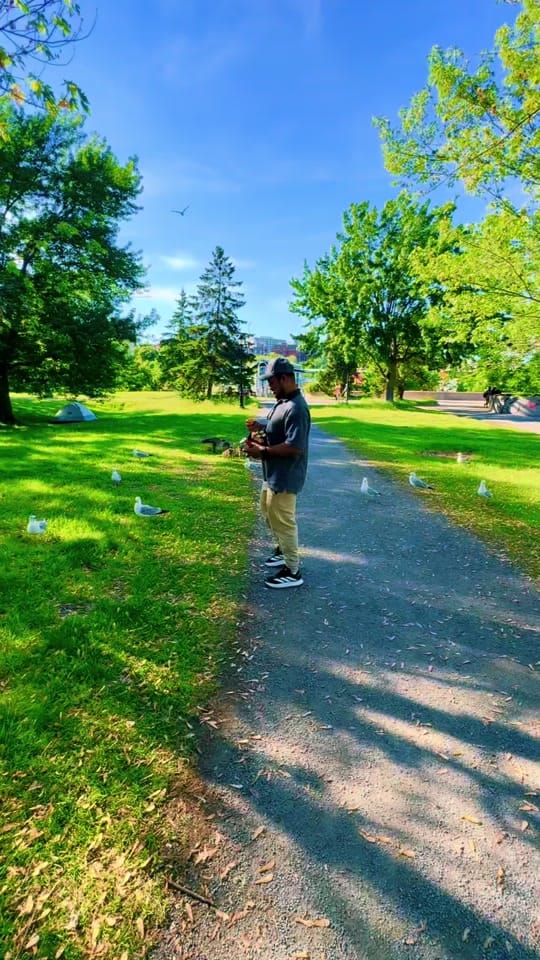 Post 5 by Saleh Ahmed 🇨🇦 on TikTok (video)