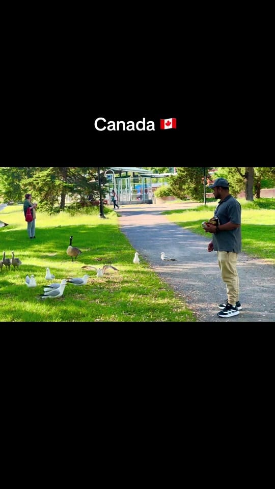 Post 4 by Saleh Ahmed 🇨🇦 on TikTok (video)