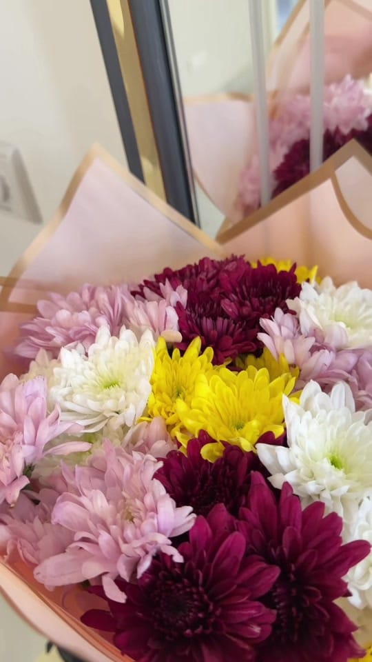 Post 5 by Chantelle on TikTok (video)