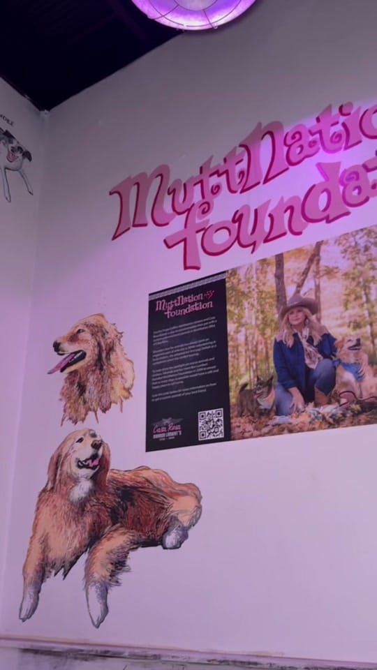 Post 5 by Casa Rosa Nashville on TikTok (video)