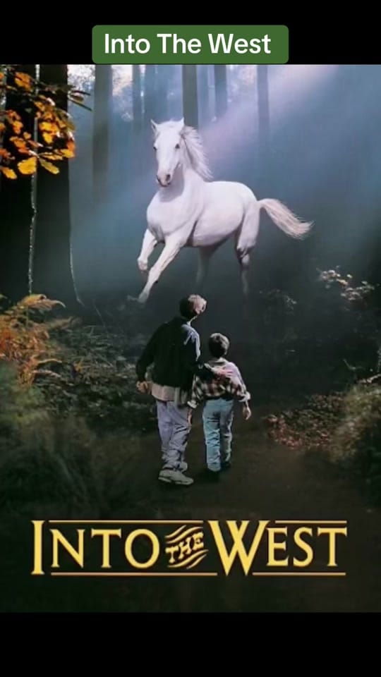 Post 3 by Home of Irish music on TikTok (video)