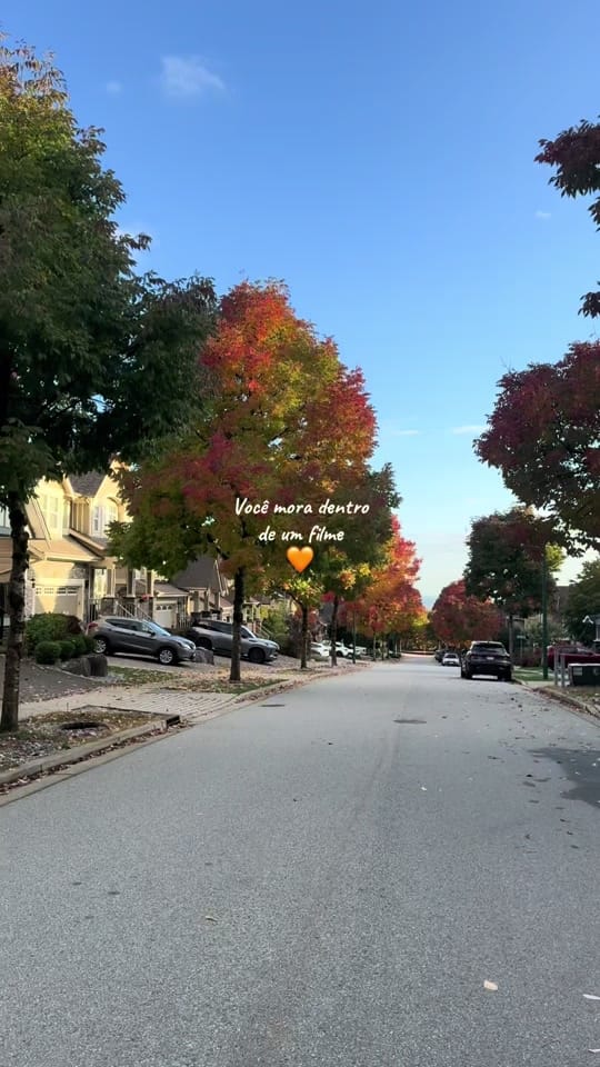 Post 7 by maytepelocanada on TikTok (video)