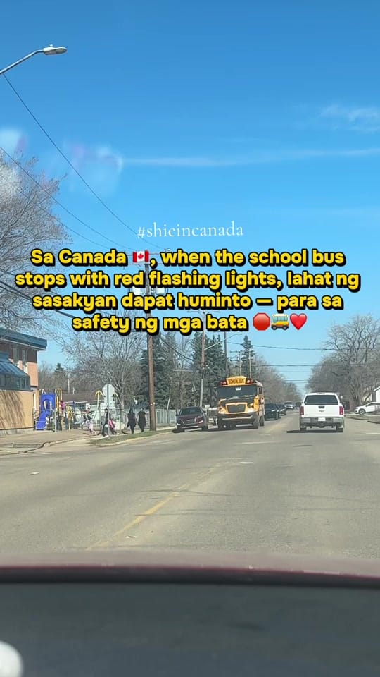 Post 3 by MommyShie in Canada🇨🇦 on TikTok (video)