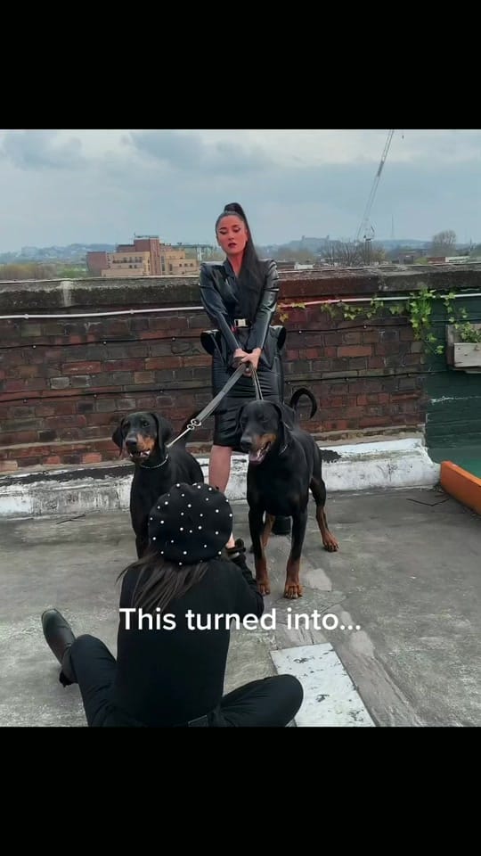 Post 9 by Salt Ashes on TikTok (video)