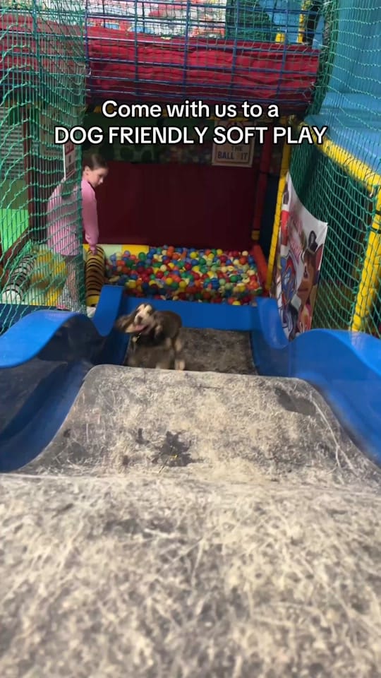 Post 9 by emmamanchester_ on TikTok (video)