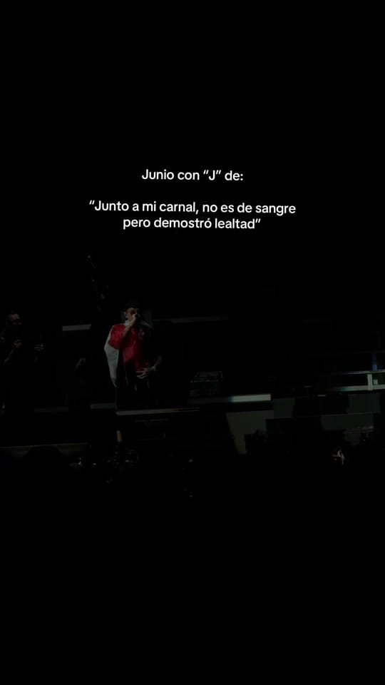Post 3 by Concert Views on TikTok (video)