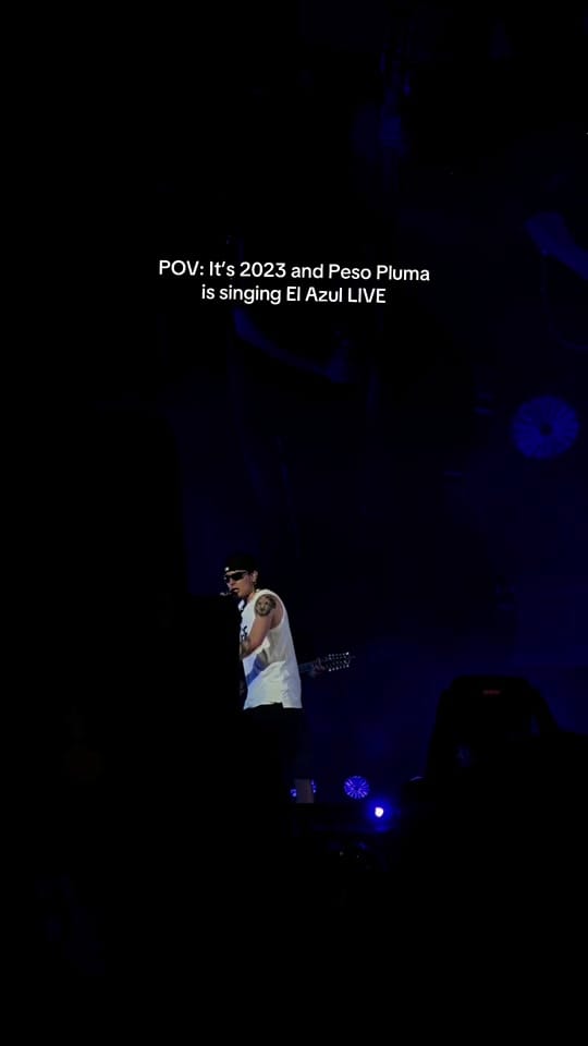 Post 4 by Concert Views on TikTok (video)