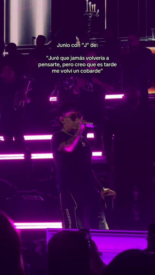Post 2 by Concert Views on TikTok (video)