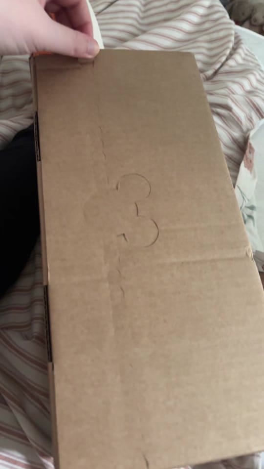 Post 8 by Megan Waugh on TikTok (video)