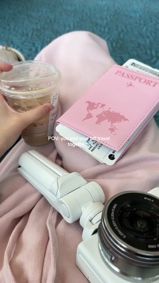 Post 9 by Evelynluu on TikTok (video)