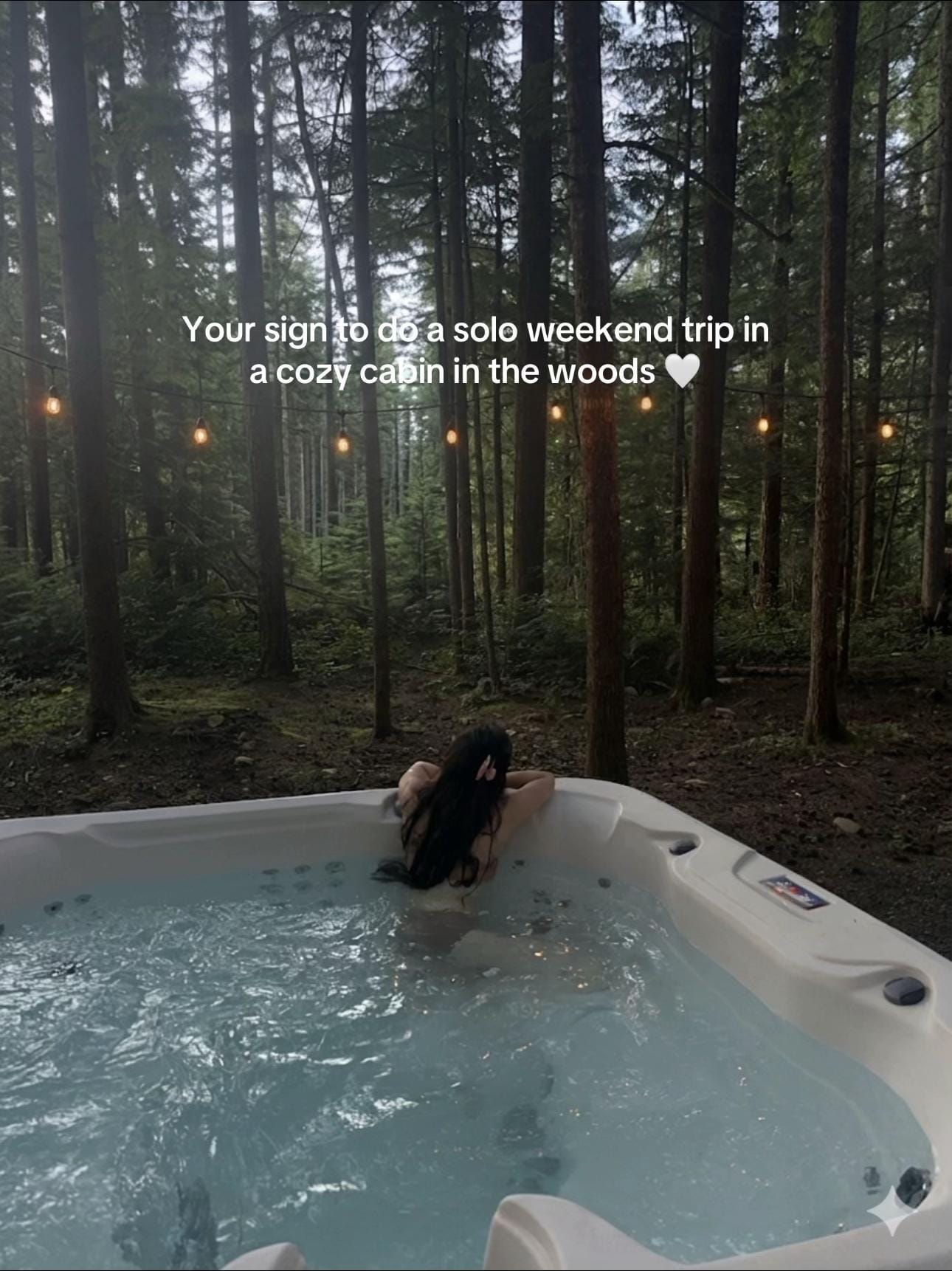 Post 7 by Evelynluu on TikTok (video)