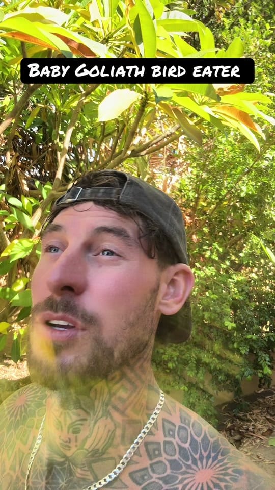 Post 7 by SAM on TikTok (video)