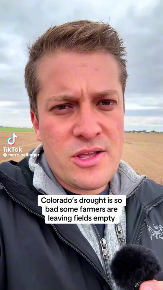 Post 8 by Marc Sallinger on TikTok (video)
