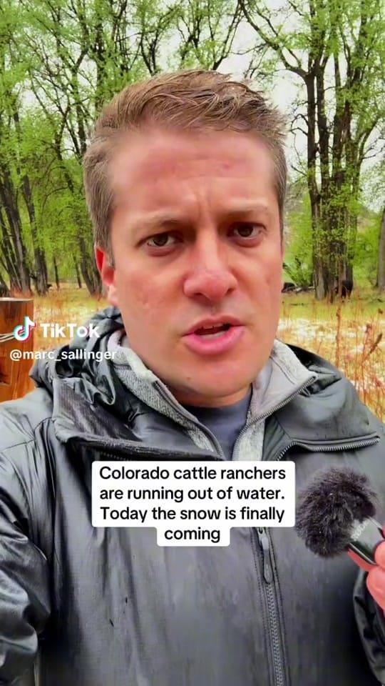 Post 4 by Marc Sallinger on TikTok (video)