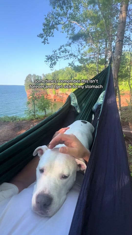 Post 9 by Larry 🎀 on TikTok (video)