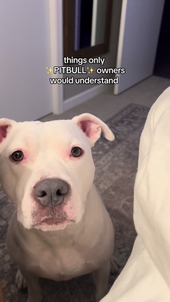 Post 10 by Larry 🎀 on TikTok (video)
