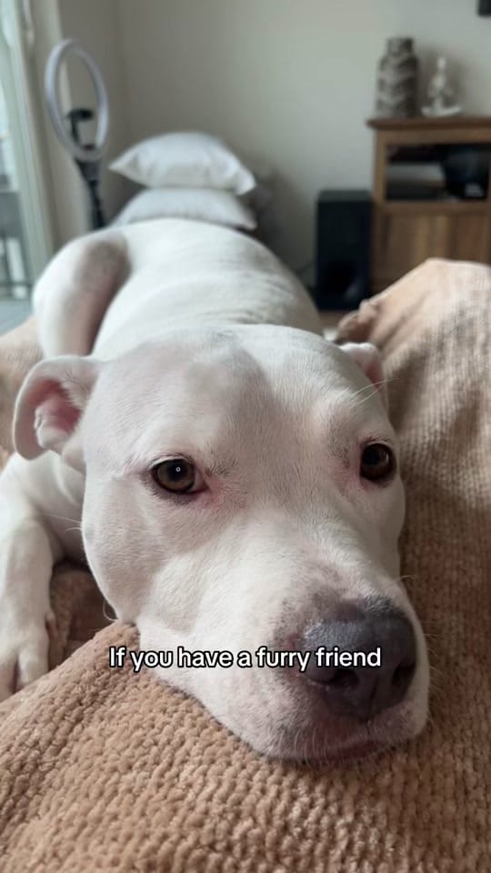Post 6 by Larry 🎀 on TikTok (video)