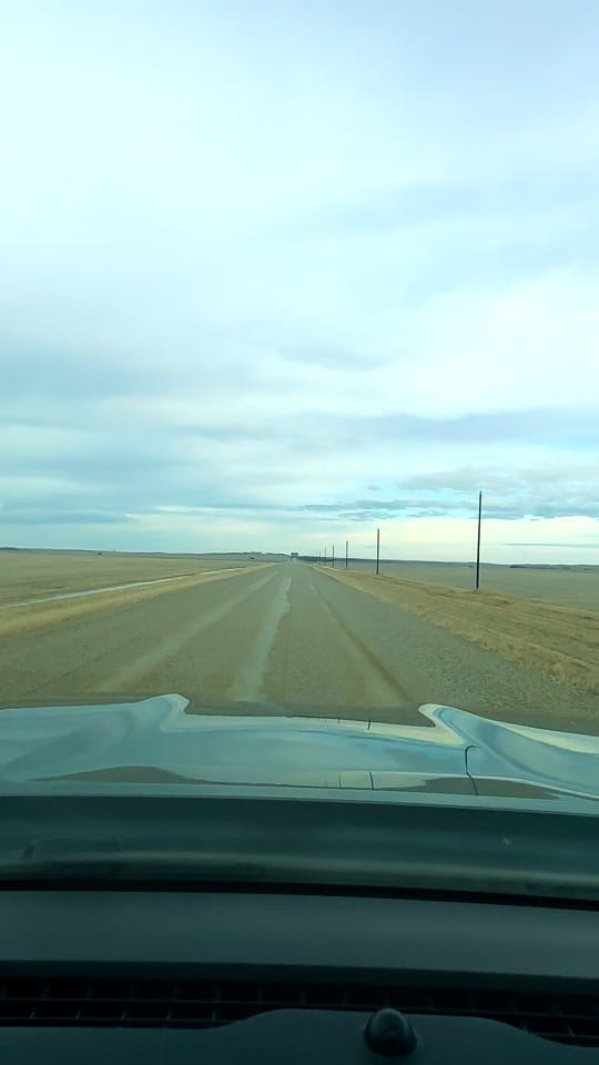 Post 1 by Christie Berry 🇨🇦 🌾 🌾 🐞 on TikTok (video)