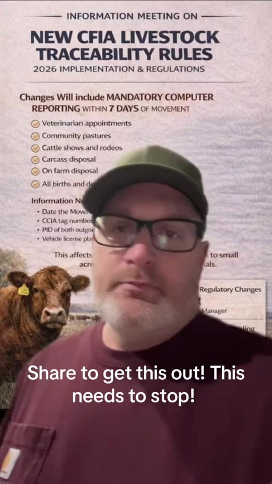 Post 4 by Christie Berry 🇨🇦 🌾 🌾 🐞 on TikTok (video)