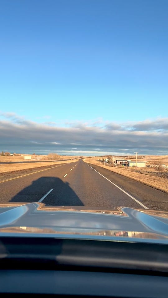 Post 9 by Christie Berry 🇨🇦 🌾 🌾 🐞 on TikTok (video)