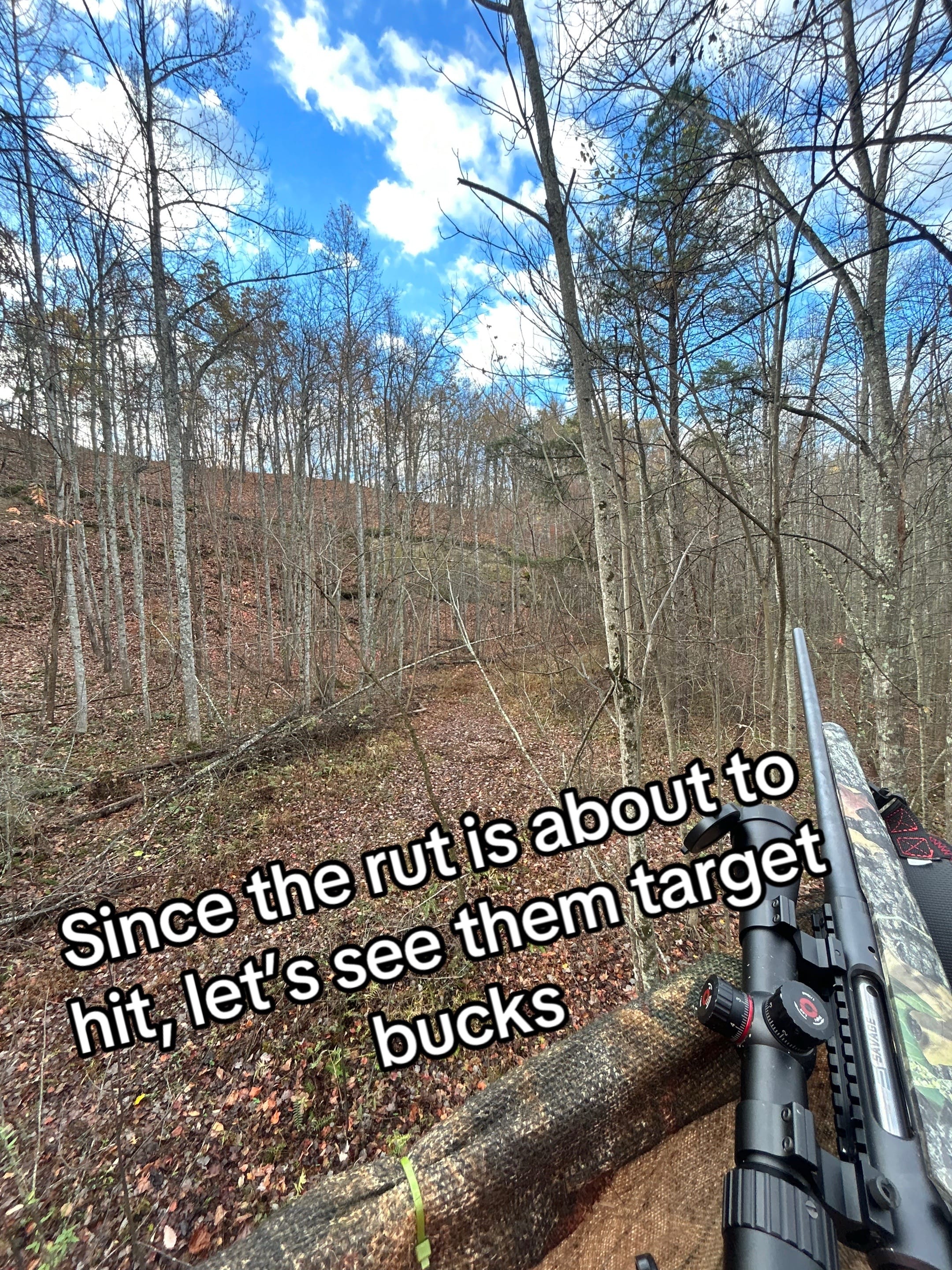 Post 2 by jonathan hall on TikTok (video)