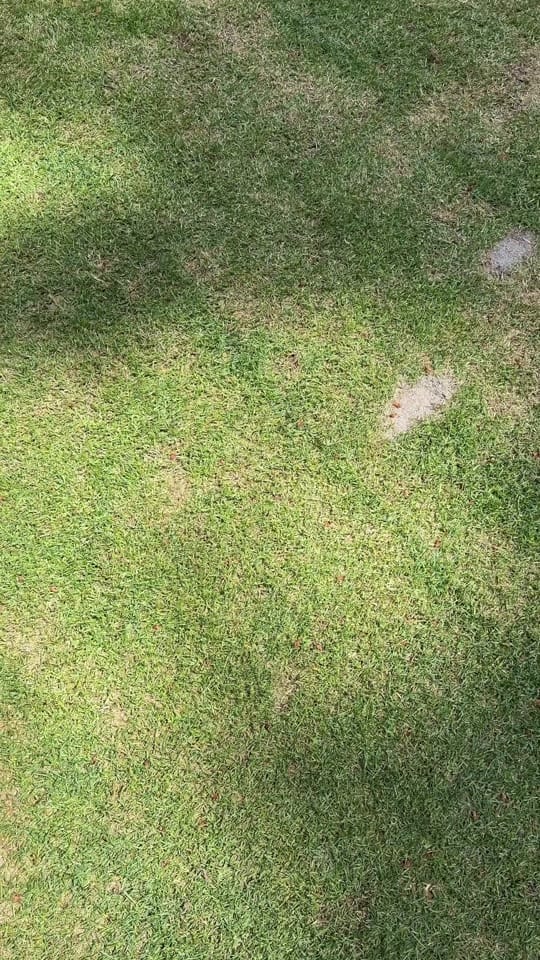 Post 1 by ashleykielyliving on TikTok (video)