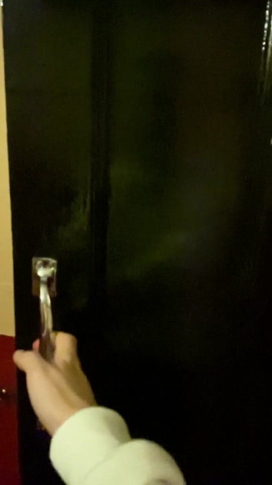 Post 10 by PalaceAndOpera on TikTok (video)