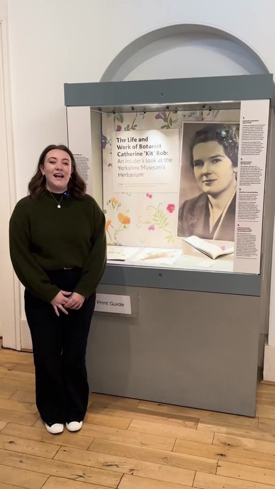 Post 5 by Yorkshire Museum on TikTok (video)