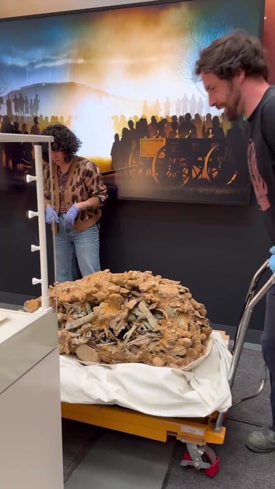 Post 3 by Yorkshire Museum on TikTok (video)