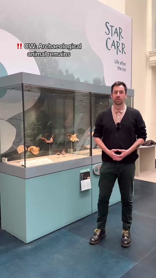 Post 4 by Yorkshire Museum on TikTok (video)