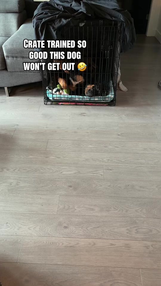 Post 8 by brittinvancity on TikTok (video)
