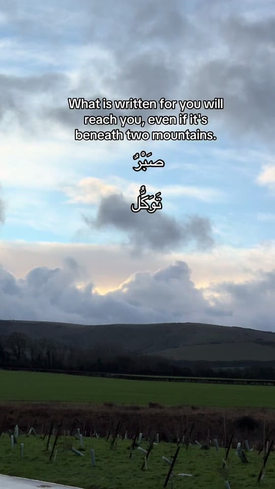 Post 6 by mohsininlondon360 on TikTok (video)