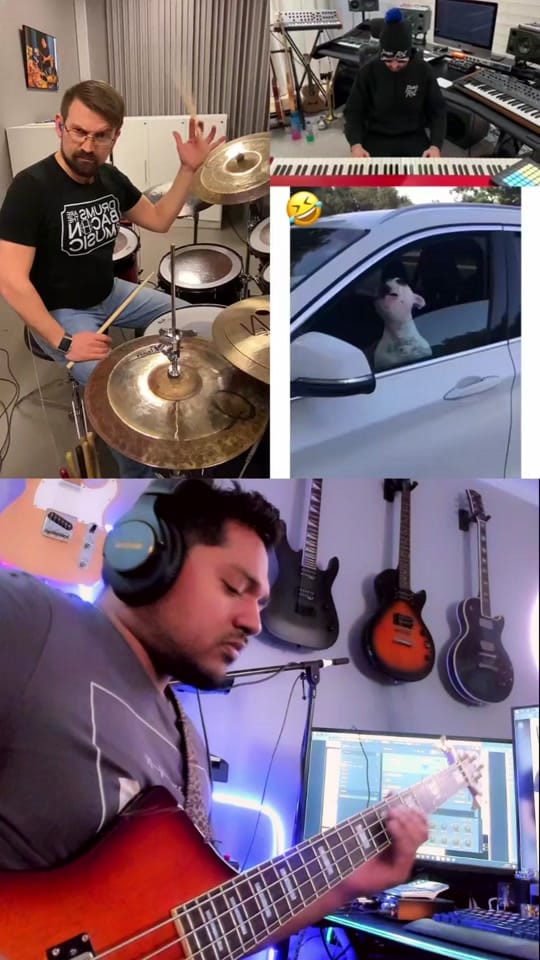 Post 10 by Chris Robinson 🇨🇦🇫🇯 on TikTok (video)