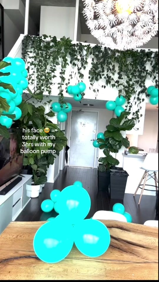 Post 7 by Evelyn’s Parties on TikTok (video)