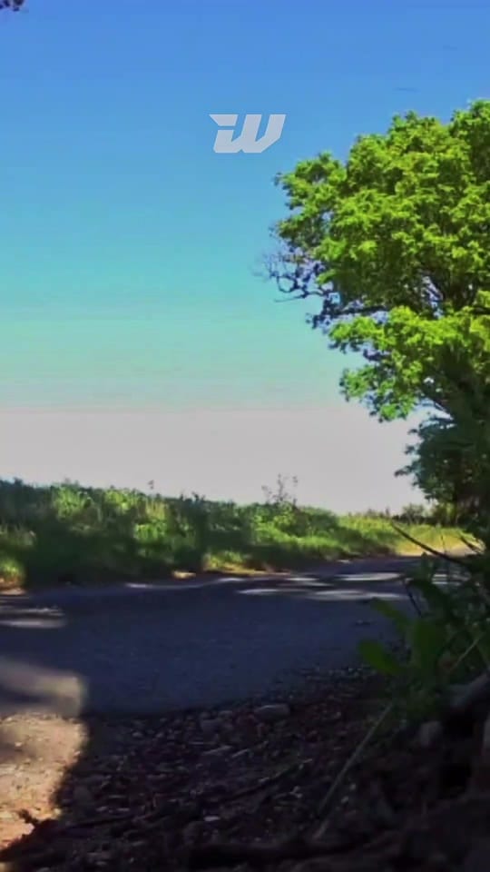 Post 1 by Grimmer on TikTok (video)