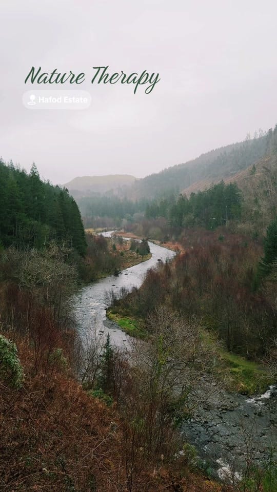 Post 7 by Jonathan Walker Gilland on TikTok (video)