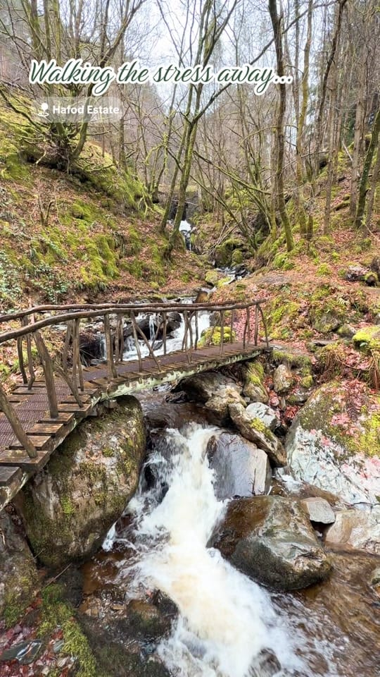 Post 6 by Jonathan Walker Gilland on TikTok (video)
