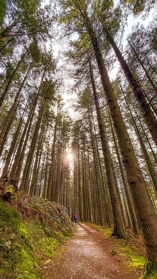 Post 2 by Jonathan Walker Gilland on TikTok (video)