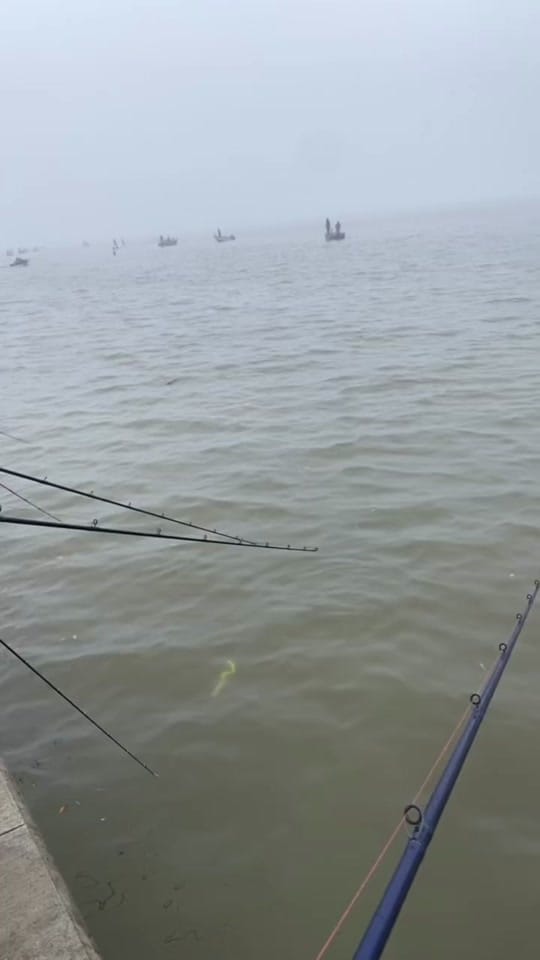 Post 9 by maxguyfishing on TikTok (video)