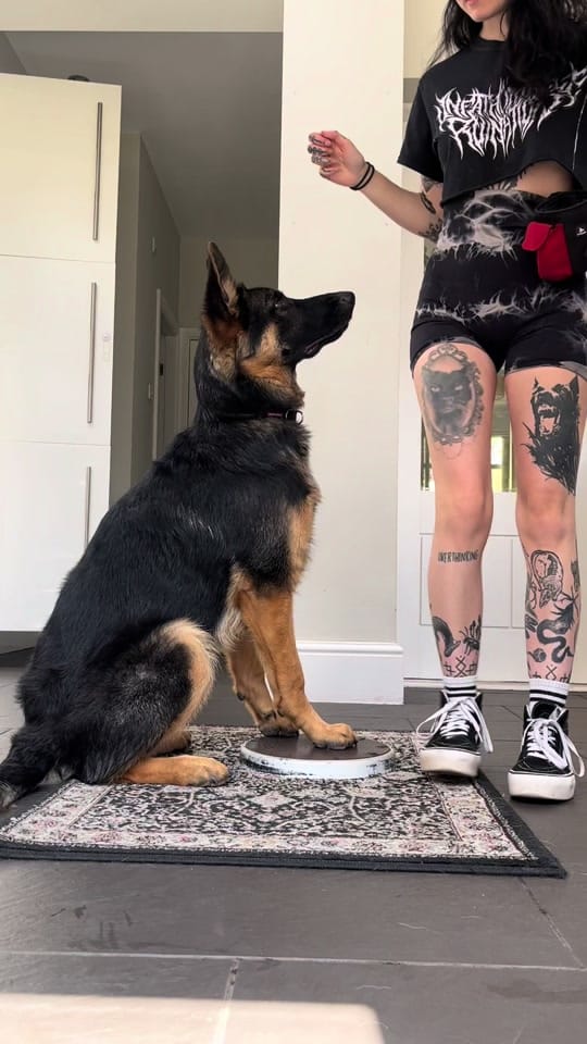 Post 10 by Davinatattoo on TikTok (video)