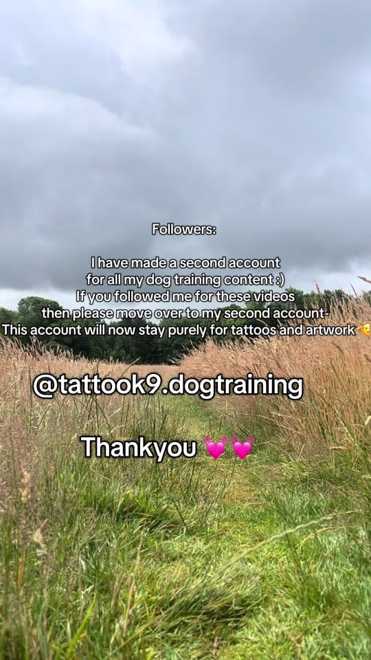 Post 5 by Davinatattoo on TikTok (video)