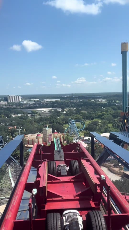 Post 8 by All things Florida on TikTok (video)