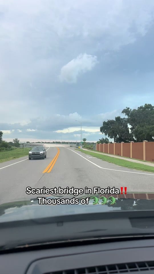 Post 9 by All things Florida on TikTok (video)