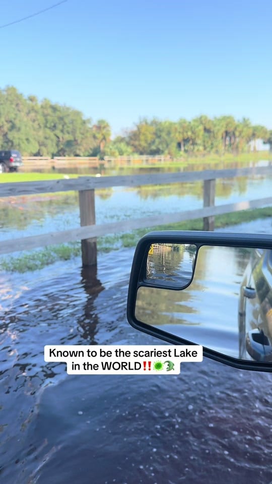 Post 4 by All things Florida on TikTok (video)